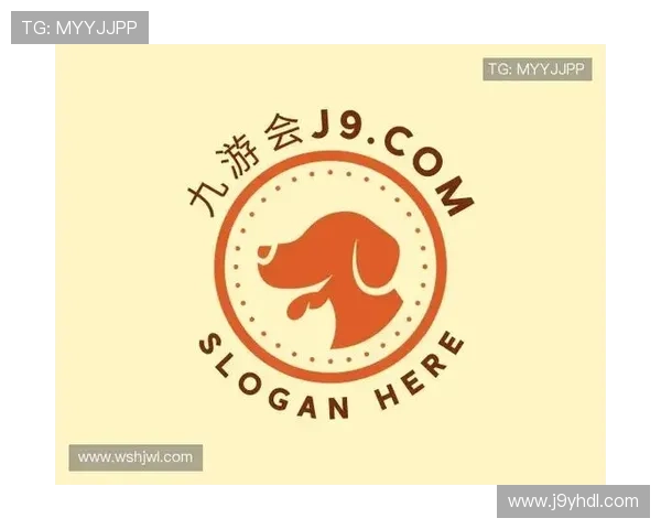 J9九游线上官方入口登录流程详解与账号安全保护技巧